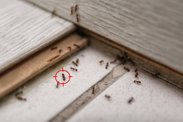 Best Pest Removal Services  in Milwaukee, WI