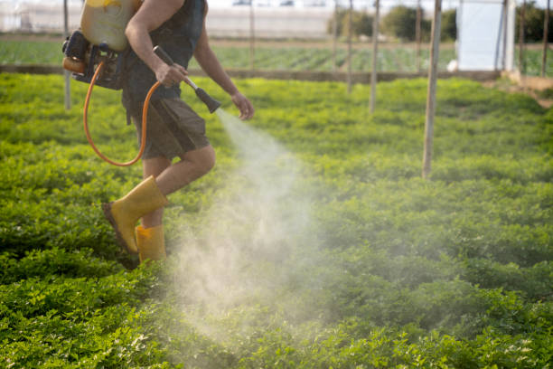 Best Commercial Pest Control Services  in Milwaukee, WI