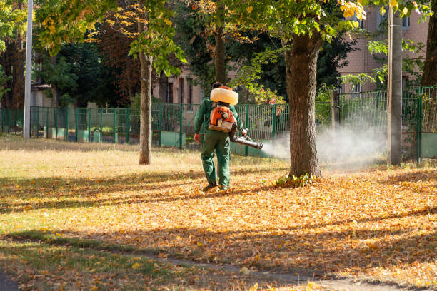 Best Exterminator Services  in Milwaukee, WI