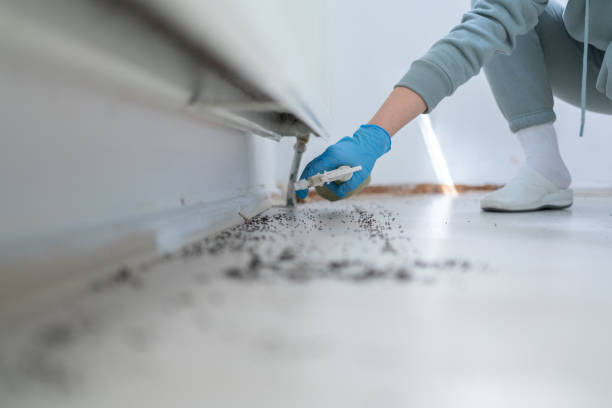 Professional Pest Control in Milwaukee, WI