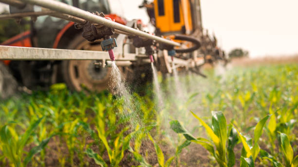 Best Pest Control for Businesses  in Milwaukee, WI